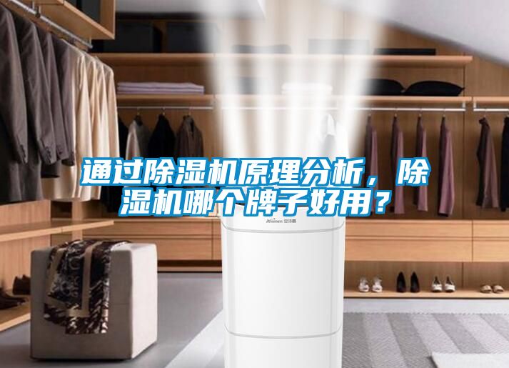 通過除濕機原理分析，除濕機哪個牌子好用？