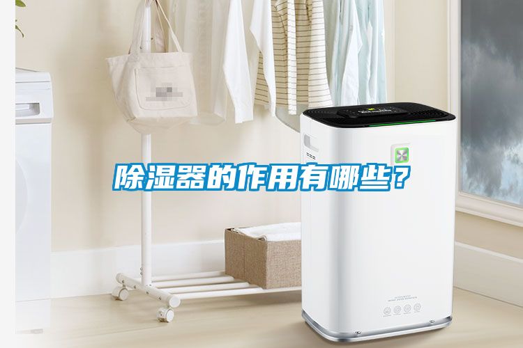 除濕器的作用有哪些？
