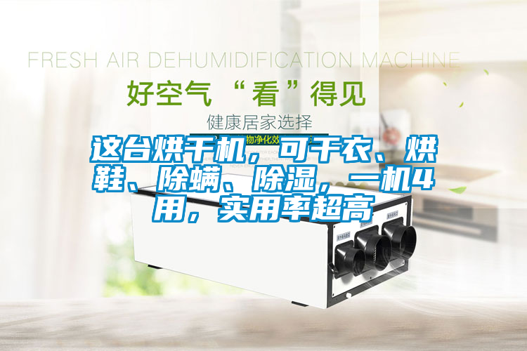 這臺烘干機，可干衣、烘鞋、除螨、除濕，一機4用，實用率超高