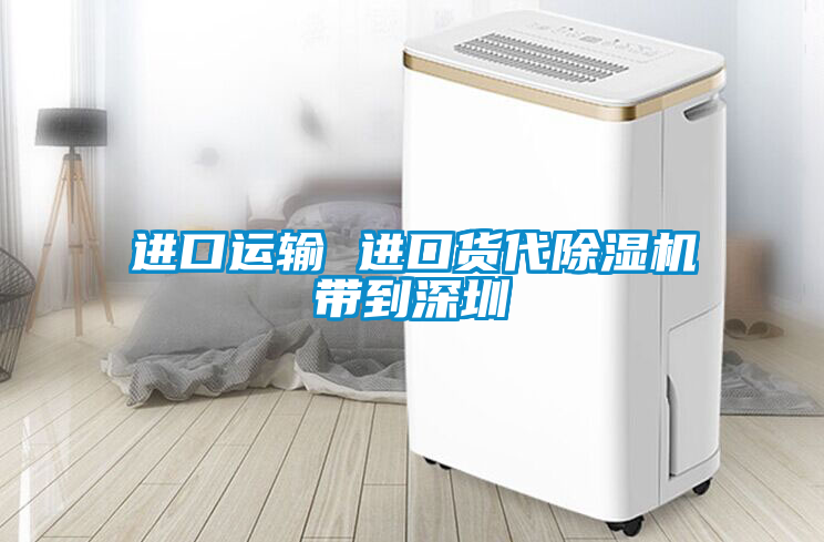 進(jìn)口運輸 進(jìn)口貨代除濕機帶到深圳