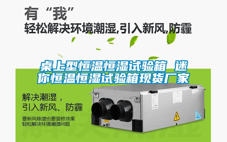桌上型恒溫恒濕試驗(yàn)箱 迷你恒溫恒濕試驗(yàn)箱現(xiàn)貨廠(chǎng)家