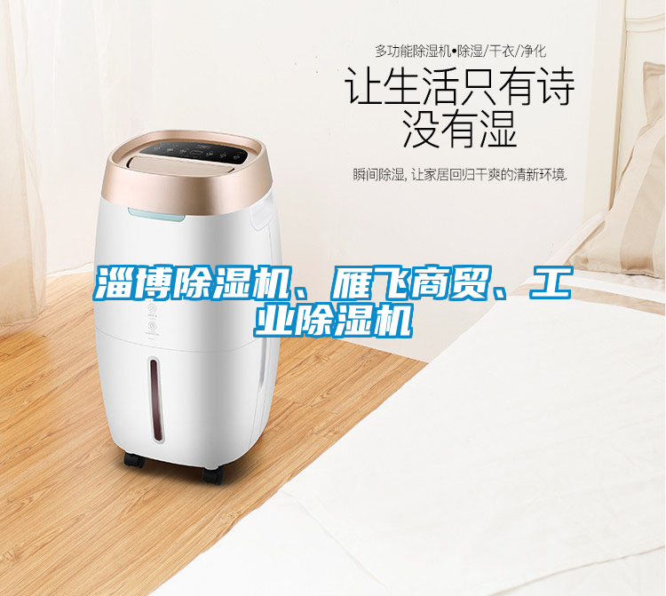 淄博除濕機、雁飛商貿、工業除濕機