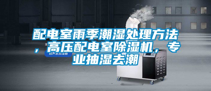 配電室雨季潮濕處理方法，高壓配電室除濕機，專業抽濕去潮