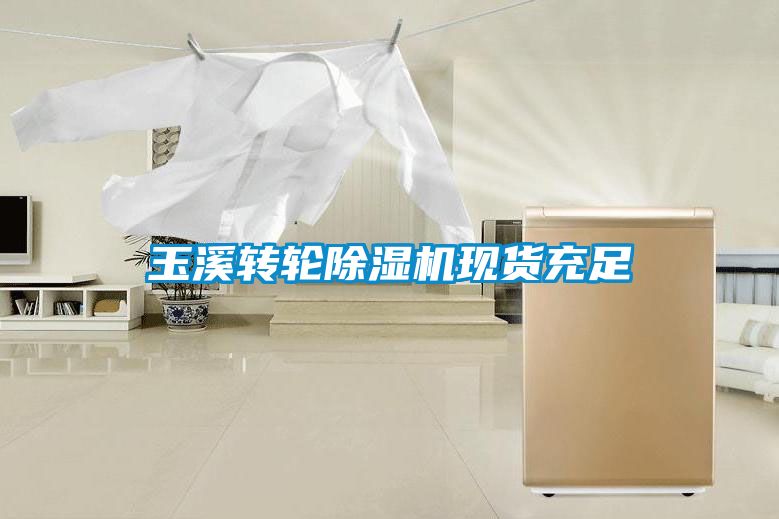 玉溪轉輪除濕機現貨充足