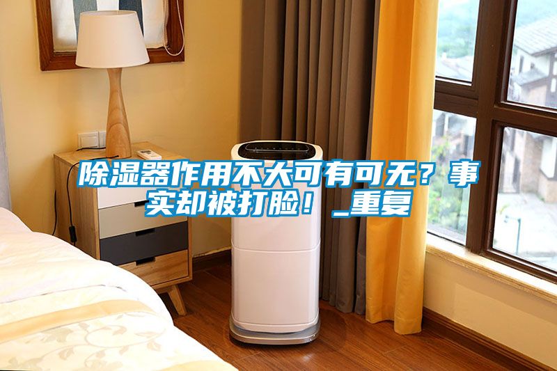 除濕器作用不大可有可無？事實卻被打臉！_重復
