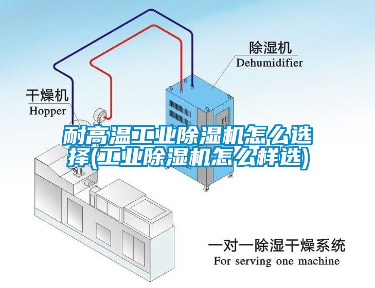 耐高溫工業除濕機怎么選擇(工業除濕機怎么樣選)